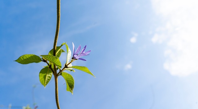 みき心と体のクリニック